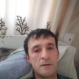, 37 , 