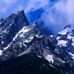 ����, ���������, 43 ����