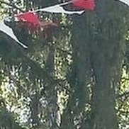 �������, 21 ���, ������������