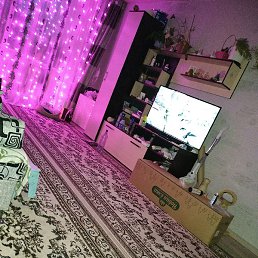 �����, ������������, 56 ���