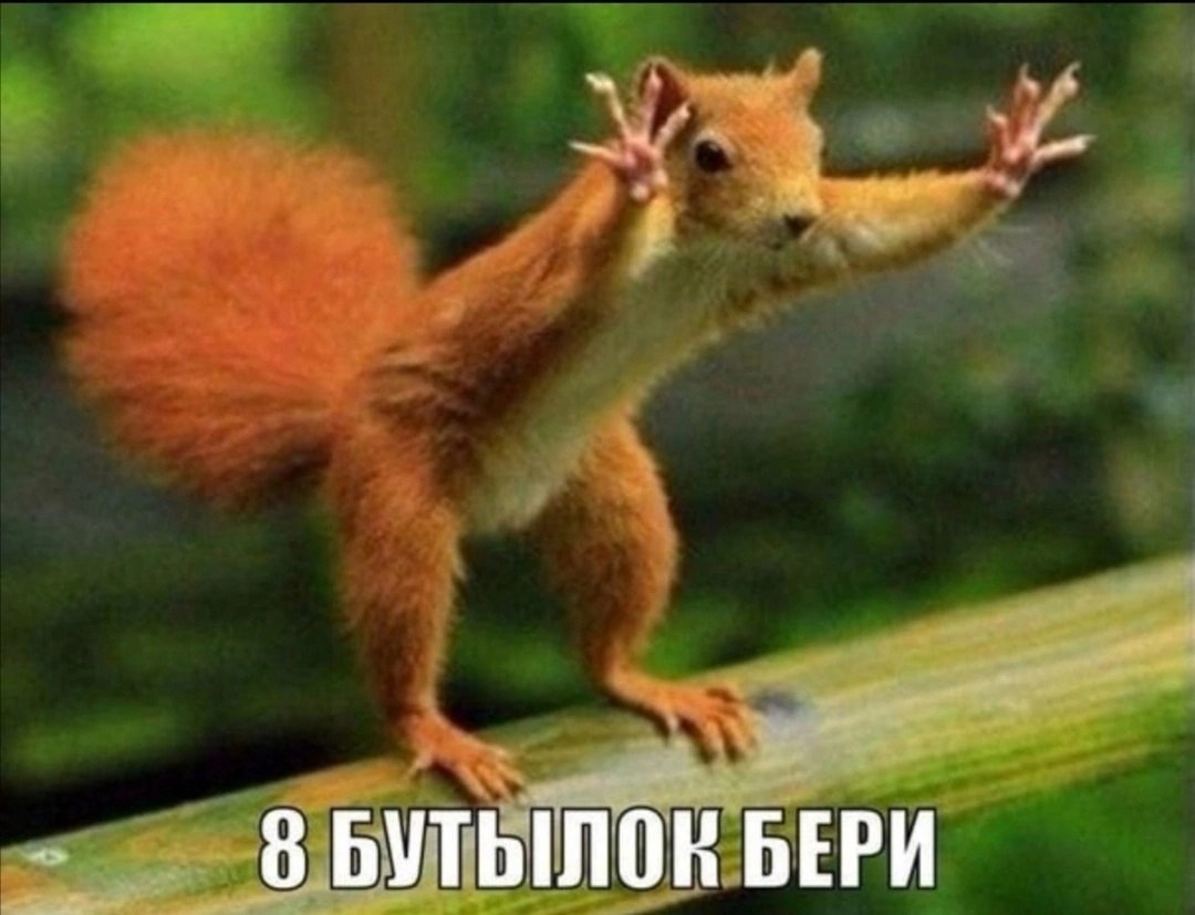  - 7  2023  19:40