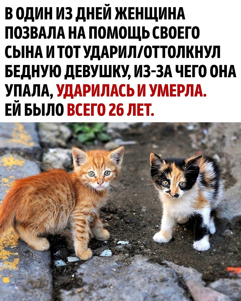    - 3