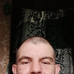 , 38 , 