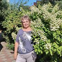 ���� ���������, ���������, 64 ���� - ��������� 15 ������� 2025