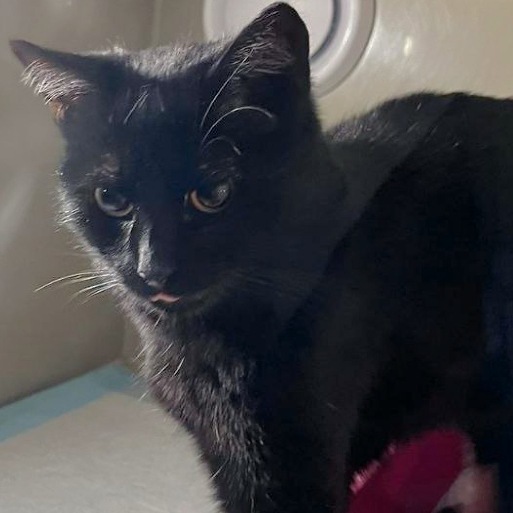 �������� ��� �� �����...�.������ ����� � ����� ��� ����������� ����, ������ ��� �� ���� ��� ... - 3