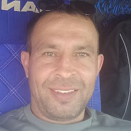 ����, ��������, 43 ����