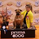 ���� ������, �����-���������, 40 ��� - ��������� 6 ���� 2026 � ������ ���� ����������