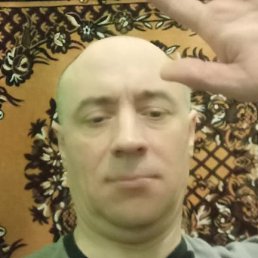 �����, ���������, 54 ����