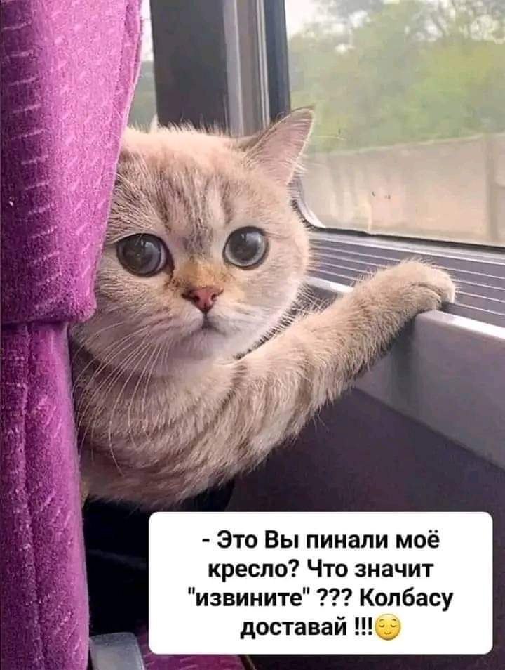 ��� ���� - 22 ������� 2025 � 21:36