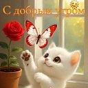 ���� ������� � ����������, �����, 59 ��� - ��������� 17 ����� 2026 � ������ ���� ����������