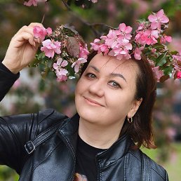 �����, ������, 37 ���