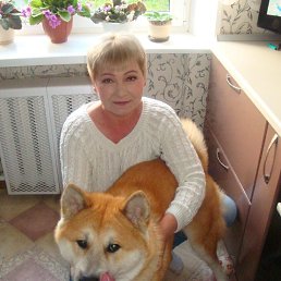 ���� �������, ��������, 55 ��� - ��������� 3 ������� 2026