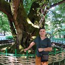 ���� ����, �����, 50 ��� - ��������� 27 ������ 2026 � ������ ���� ����������