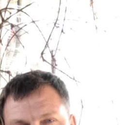 , 56 , 