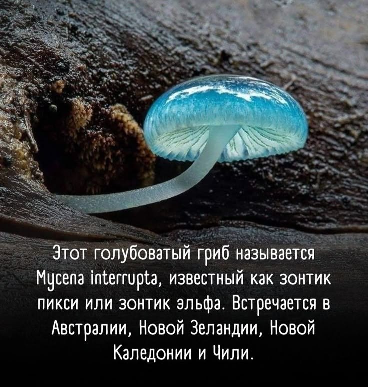 :)
