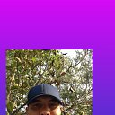 ���� �����, ���������, 44 ���� - ��������� 8 ������ 2024 � ������ ���� ����������