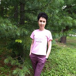 ���� �������, ��������, 48 ��� - ��������� 3 ������ 2024