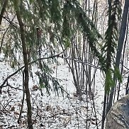 ������, 40 ���, �����