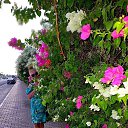 ���� �����, ������ - ��������� 22 ���� 2026 � ������ ���� ����������