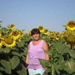 �������, �����-���������, 67 ���