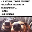 ���� �������, ���������, 80 ��� - ��������� 9 ������ 2026 � ������ ������ ��������