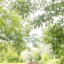 ���� *~Seryoga~*, �������� - ��������� 17 ������ 2024 � ������ ���� ����������
