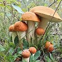 ���� Marina, �������, 64 ���� - ��������� 12 ������� 2026 � ������ ���� ����������