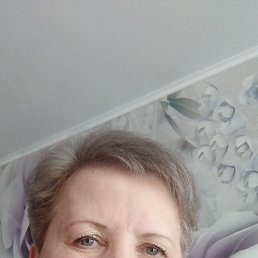 , 61, 