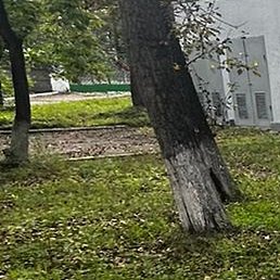 ������, �������, 56 ���