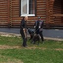  , -, 53  -  11  2025    