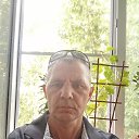 ���� �����, ���������, 43 ���� - ��������� 24 ������� 2023