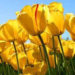 ���� �������, ����, 51 ��� - ��������� 1 �������� 2025