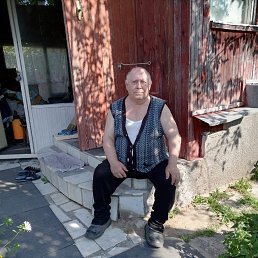 , 61, 