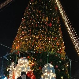 �������, ����, 53 ����