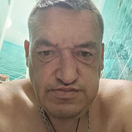 �������, ���������, 46 ���