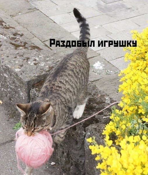 ����� ������� � ����� ������������!!! - 2
