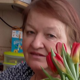 �������, ������, 66 ���