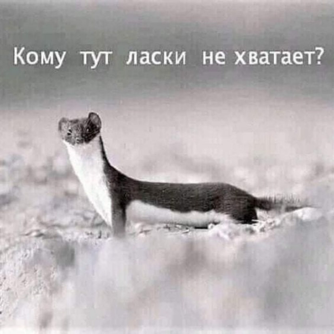  - 3  2023  10:32