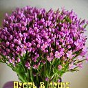 ���� ����� &������, ������, 66 ��� - ��������� 1 ����� 2026 � ������ ������ ��������