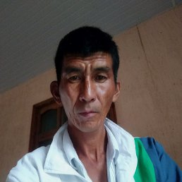 , 41, 