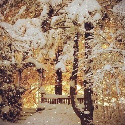 ����� � ������ - 20 ������� 2025 � 21:53 - 6