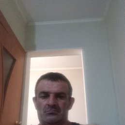 , 46, 