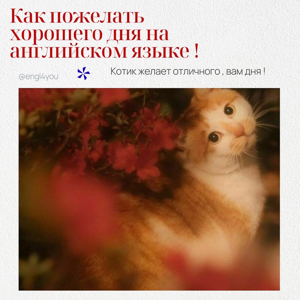   ,       : 1.  :  