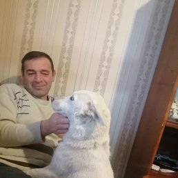 ���� V, ������, 48 ��� - ��������� 14 ��� 2026