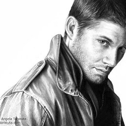 ������, ���������, 40 ���