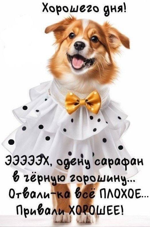 ***Victoria Viktorovna*** - 8  2025  02:41