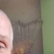 , 55 , 