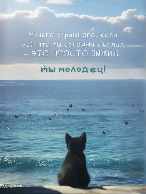   ! - 17  2025  14:01
