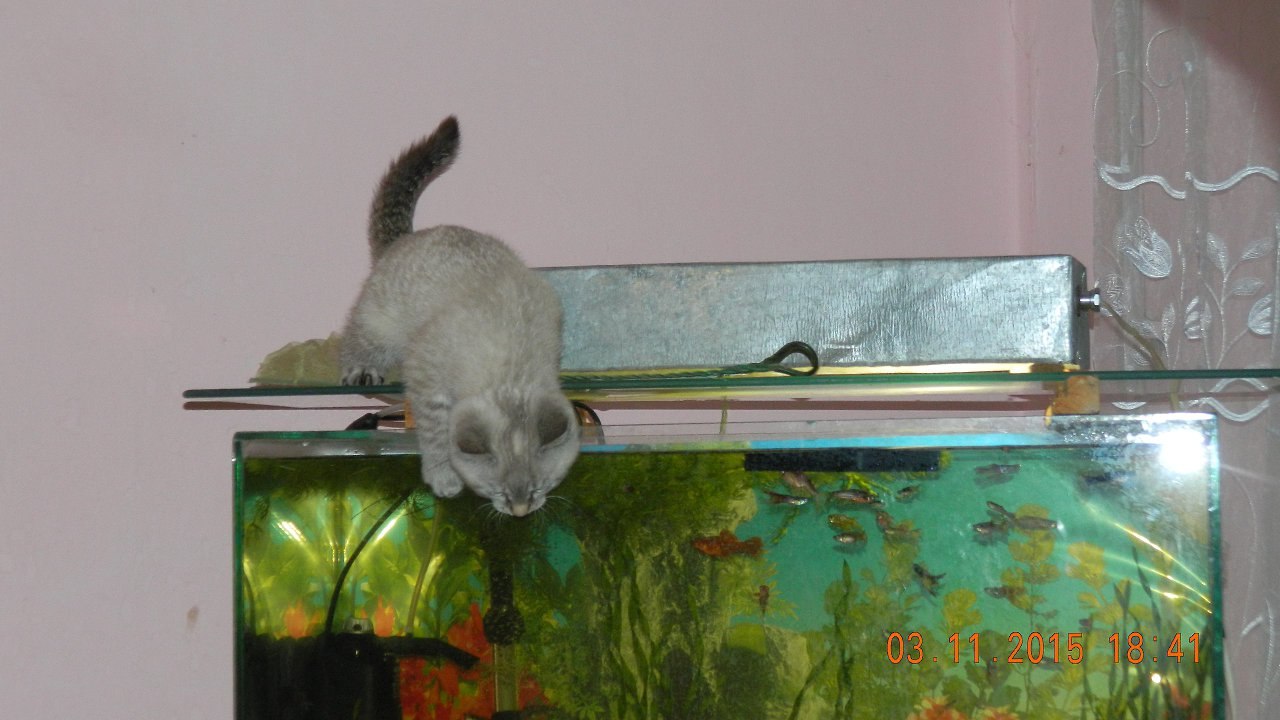 - !!! !. - 12  2025  23:35