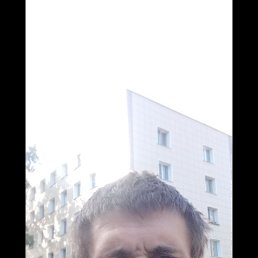 , 41, 